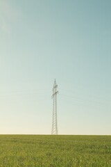 Power Line Tower in Green Field