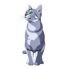 Obraz premium Korat cats have green eyes, a curious gaze, and a graceful demeanor