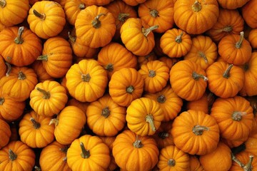 Top view of autumn still life with orange pumpkins background.