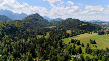 Panoramic aerial view of alpine mountain valley with forest slopes and green meadow under cloudy summer sky