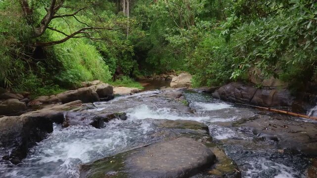 Flowing Stream with Rocks in Tropical Forest &ndash; Nature Landscape in Sri Lanka