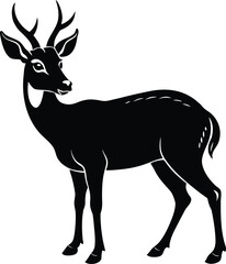 Fototapeta premium Black silhouette of a muntjac deer standing on white background vector