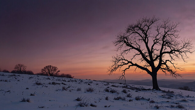 Winter Sunset with Lone Bare Tree on Snowy Field