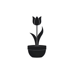 Monochromatic Tulip in Pot: Minimalist Floral Design