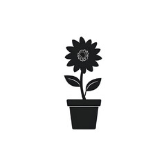 Potted Sunflower Silhouette: Dark Background Floral Design Element