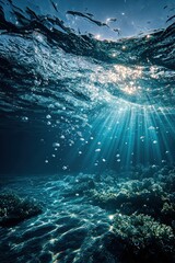 Underwater coral reef scene (1)