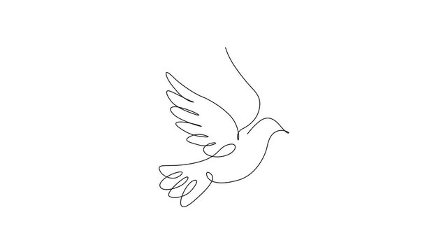 Single Line Drawing Animation of Flying Dove Modern Peace Bird Illustration