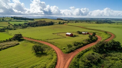 Naklejka premium Lush green pastures and a winding dirt road.