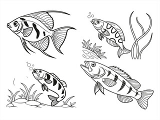 coloring page line art the archerfish black vector bundle