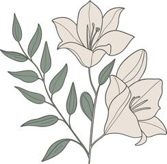 line art Lily Flower Illustration – Handcrafted Botanical Vector with Leaves and Blooming Stems