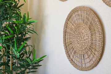 Boho woven wall art and plant
