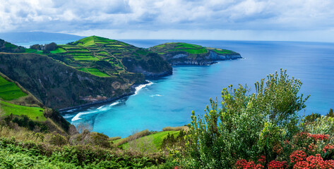 Azores, Portugal – Scenic Atlantic Ocean coastline with turquoise water green plants and tropical flowers