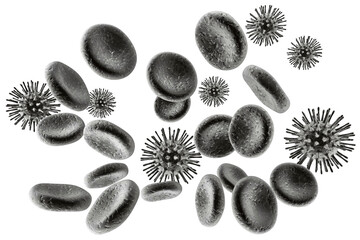 Red blood cells, 3D illustration in black-and-white style, surrounded by multiple virus particles, symbolizing infection and disease.