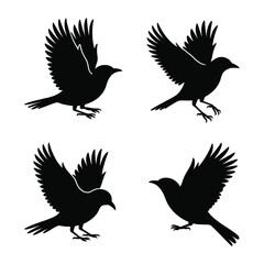 Obraz premium A pack of 4 realistic bird silhouette designs, flying and standing poses, fully filled black, no background elements.