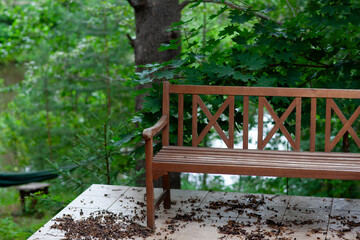 Empty wooden bench on a forest terrace with scattered pinecones and leaves