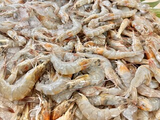 fresh shrimps on the market