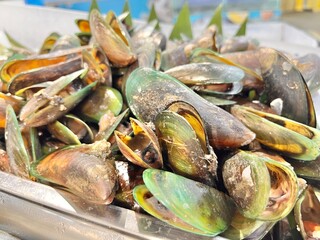 cooked mussels on a plate