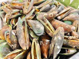 Fresh green clams at seafood market