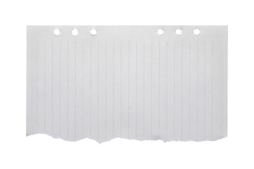 blank lined paper notebook paper with torn edges isolated on transparent background,note paper message office business tag sign
