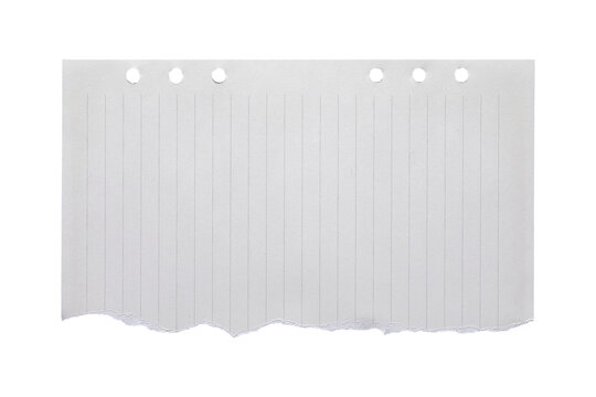 blank lined paper notebook paper with torn edges isolated on transparent background,note paper message office business tag sign