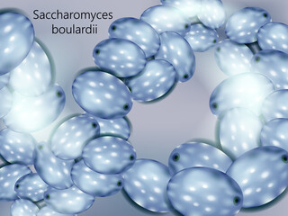 Saccharomyces boulardii Yeast. Realistic Vector Rendering of Saccharomyces boulardii Culture. Probiotic Illustration