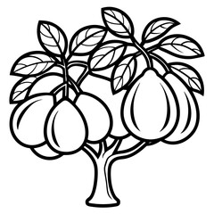 Guava Tree line art vector