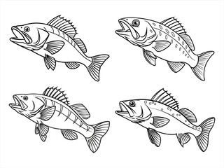 coloring page line art the walleye black vector bundle