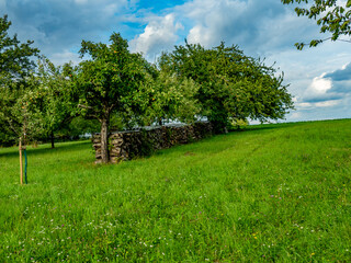 Brennholz lagert im Freien © focus finder