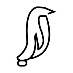 vector illustration of a penguin vector