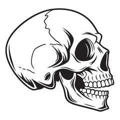 Skull Head Silhouette Isolated on Transparent Background for Halloween and Design Use