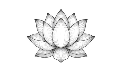 Lotus Flower