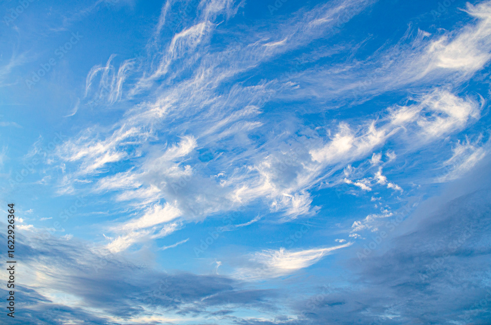Wall mural blue sky with cloud. clearing day and good weather in the morning of summer