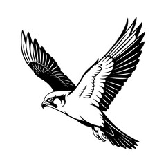 Naklejka premium A stylized black and white illustration of a powerful falcon soaring with wings spread.
