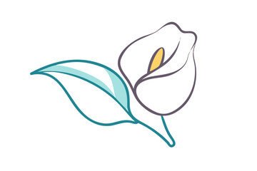 Stylized calla lily flower and leaf isolated on transparent background