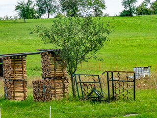 Brennholz lagert im Freien © focus finder