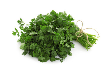 Bunch of fresh cilantro isolated on white