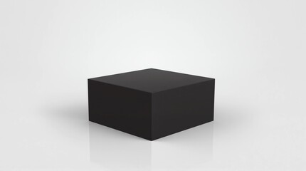 black box 