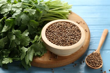 Coriander seeds and fresh cilantro on light blue wooden table, closeup