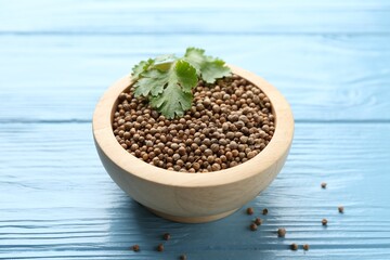 Coriander seeds in bowl and fresh cilantro leaves on light blue wooden table, closeup