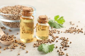 Coriander essential oil in bottles, seeds and cilantro leaves on light table, closeup