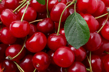 Fresh ripe red cherries as background, closeup