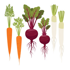Assortment of Root Vegetables