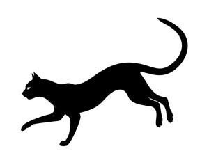 Elegant Black Cat Silhouette SVG - Minimalist Vector Design