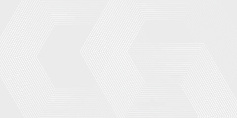 Hexagon white gray wave light technology texture background. Abstract big data digital concept simple art modern abstract