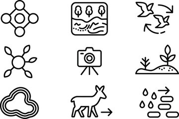 Icon Set Featuring Ecology, Forest, Trees, Camera, Animals, and Nature on White