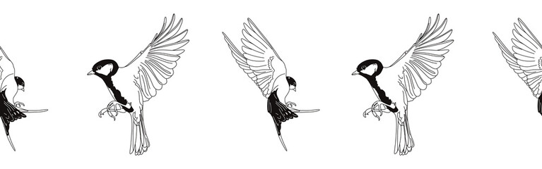 Border icon border. Bird feather silhouette symbol. Bird border isolated on white background	