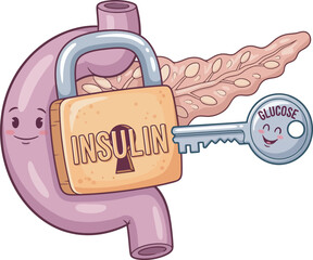 Cartoon depiction of a pancreas with an insulin lock and glucose key.
