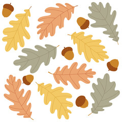Flat autumn oak leaf illustration set