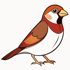 Cartoon sparrow bird isolated on white background