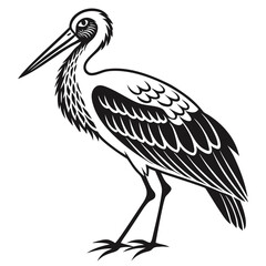 Illustration of a stork standing on a white background